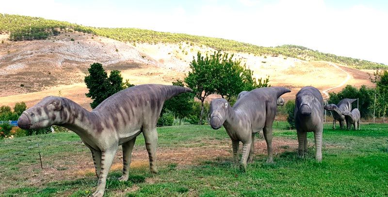 Museo Paleontológico de Castilla de la Mancha