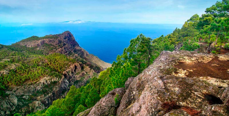 Parque Natural de Tamadaba