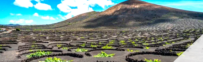 Panorámica de Lanzarote