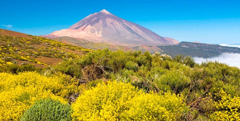 Parque Nacional del Teide